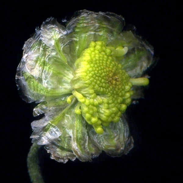 10a