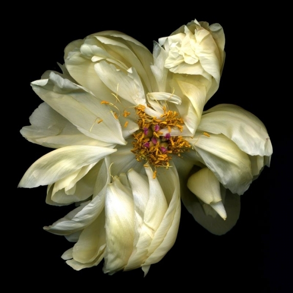 5a