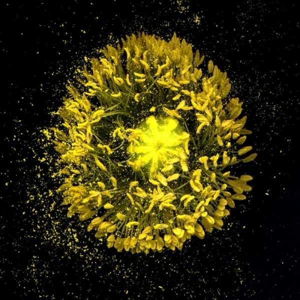 8a