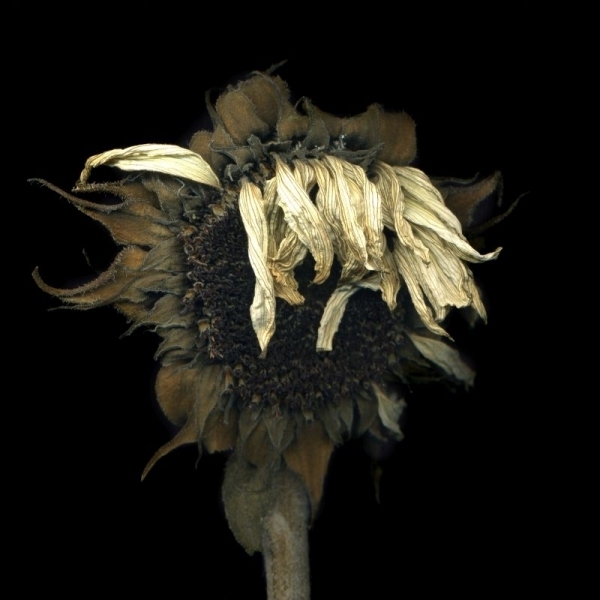 9a