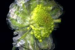 10a