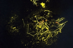 11a