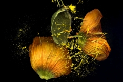 1a