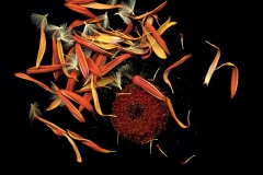 3a