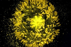 8a