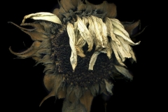 9a