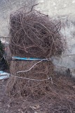 Gabi_Bild er findung_05