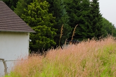 Bild 0