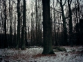 wuestungen_dangelsberg