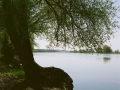 Landschaft_Oder_links