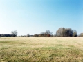 Landschaft_Wiese_Links