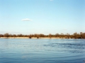 Landschaft_Wiese_Rechts